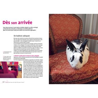 Un lapin en semi-liberté chez moi, c'est possible !