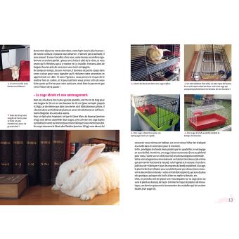 Un lapin en semi-liberté chez moi, c'est possible !