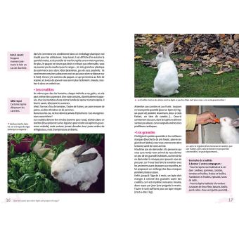 Un lapin en semi-liberté chez moi, c'est possible !