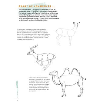 Dessiner les animaux