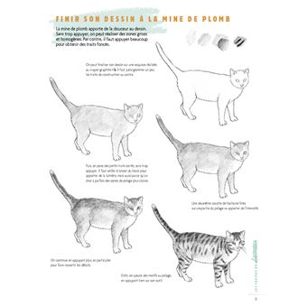Dessiner les animaux