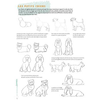 Dessiner les animaux
