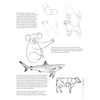 Dessiner les animaux