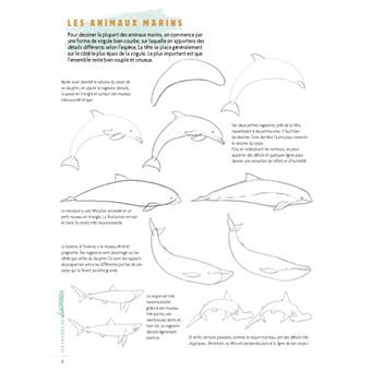 Dessiner les animaux