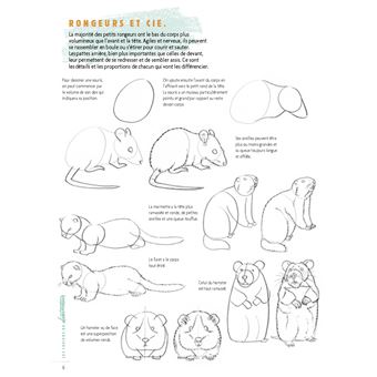 Dessiner les animaux