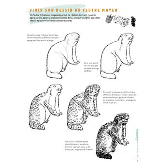 Dessiner les animaux