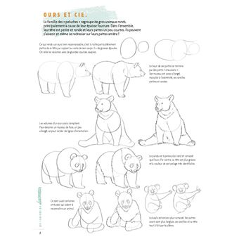 Dessiner les animaux