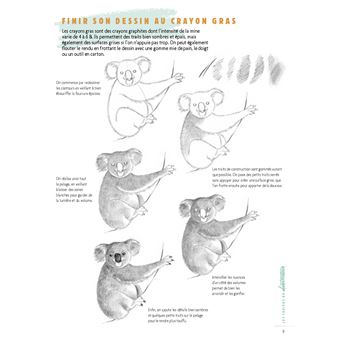 Dessiner les animaux