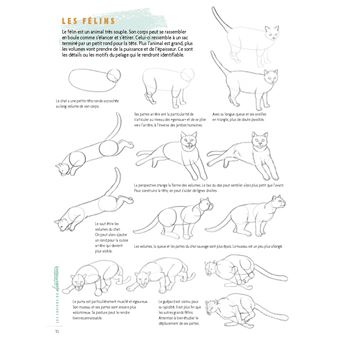 Dessiner les animaux