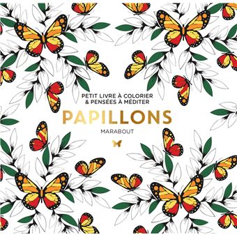 COLORIAGE ADULTE Papillon: coloriage adulte gros motifs,21x27 cm