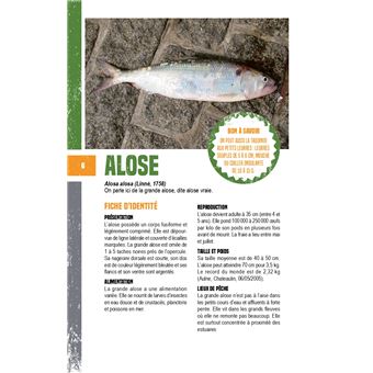 Pêche facile en eau douce