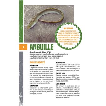 Pêche facile en eau douce