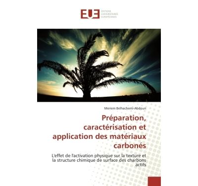Préparation, caractérisation et application des matériaux carbonés