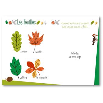 Mes activités en forêt + stickers