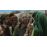 La BibleLa Bible : Joseph DVD_2