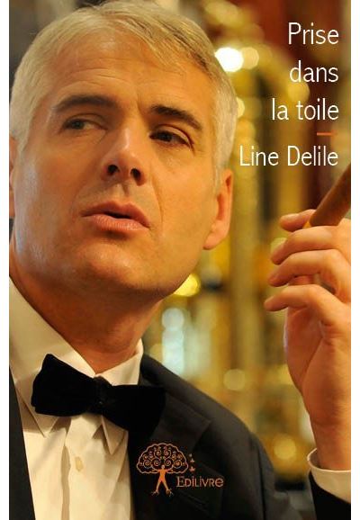 Prise dans la toile