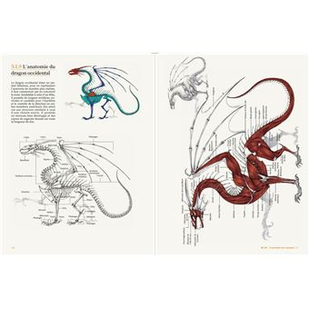 L'art de la fantasy - Dessiné à la main