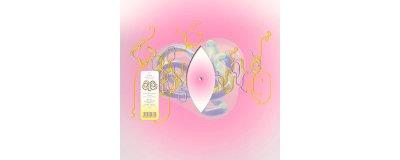 Lionsong Kareokieijd remix by Mica Levi Vinyle coloré