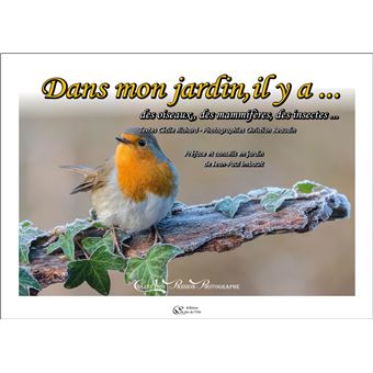 Dans mon jardin il y a… des oiseaux, des mammifères, des insectes…