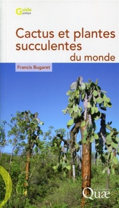 Cactus et plantes succulentes du  monde