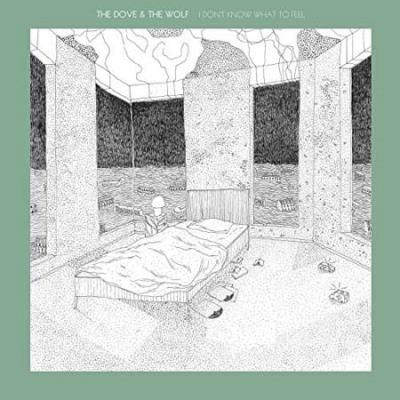 DONT KNOW WHAT TO FEEL/2LP