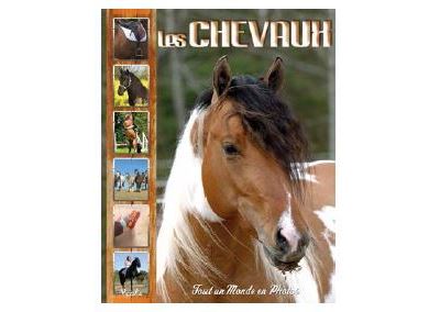 Les chevaux -  Shutterstock - broché