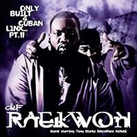 Only Built 4 Cuban Linx : Part Ii