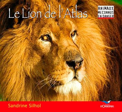 Le Lion De L'Atlas - Sandrine Silhol - cartonné