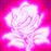 Rose Fluo