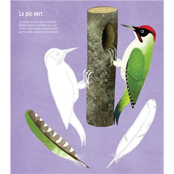 Je découvre les oiseaux de France en dessinant et en coloriant