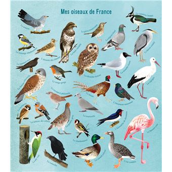 Je découvre les oiseaux de France en dessinant et en coloriant