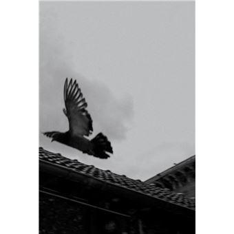 Parler à ceux que l’on n’écoute jamais !