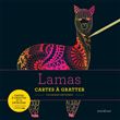 Livre à gratter : Lamas