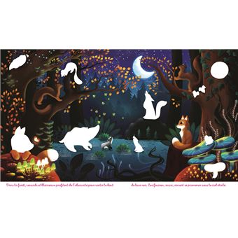 Les animaux de nuit