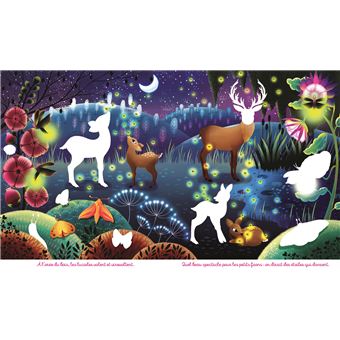 Les animaux de nuit