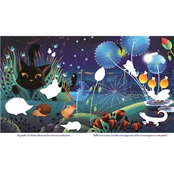Les animaux de nuit