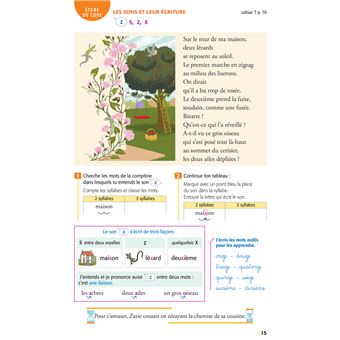 Coccinelle - Français CE1 Ed. 2022 - Livre de l'élève