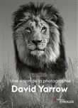 David Yarrow, une vision de la photographie