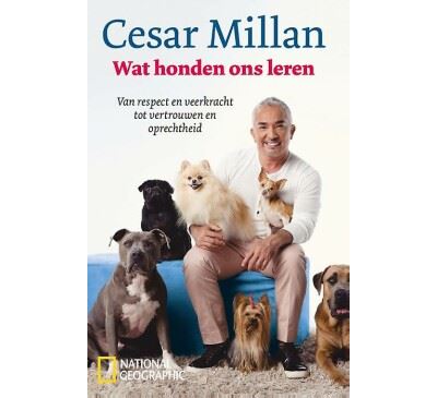 Wat honden ons leren