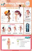 Les posters effaçables - Le Corps humain
