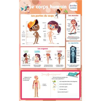 Les posters effaçables - Le Corps humain