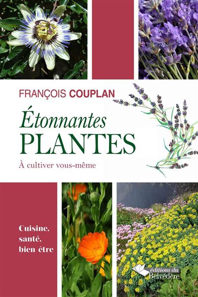 Etonnantes plantes à cultiver vous-même - François Couplan - broché