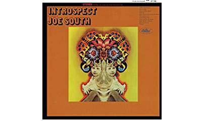 Introspect/bonus shm cd rei