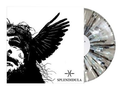 Somnus Vinyle Coloré