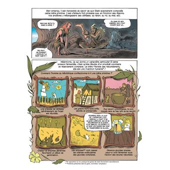 L'Incroyable histoire de la bière - De la préhistoire à nos jours, 15 000 ans d'aventure