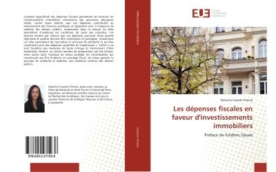 Les depenses fiscales en faveur d'investissements immobilier