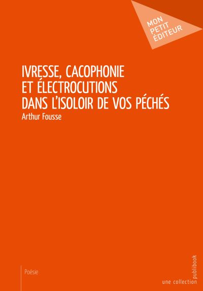 Ivresse, cacophonie et électrocutions dans l'isoloir de vos péchés