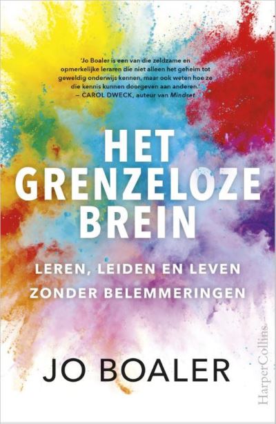 Het grenzeloze brein