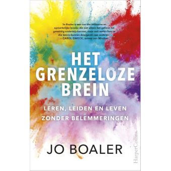 Het grenzeloze brein