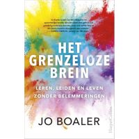 Het grenzeloze brein